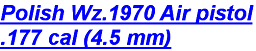 agun010pol